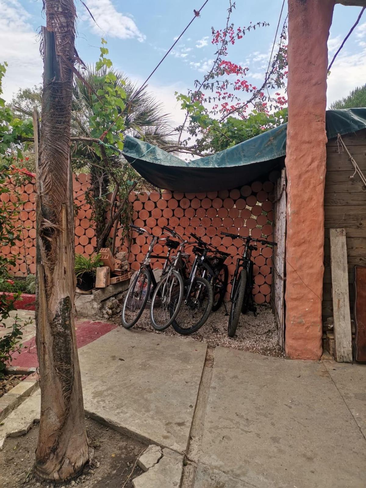 טנג'יר Hajrienne Guest House חדר תמונה